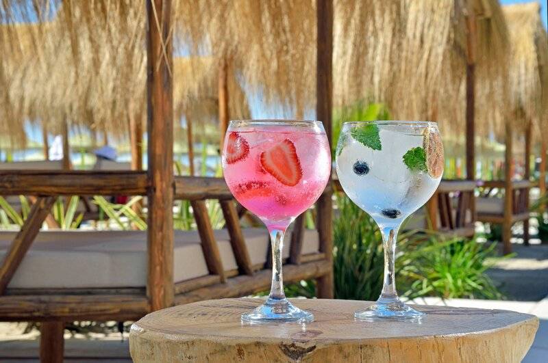 27_19529542_r 27_19529542_r