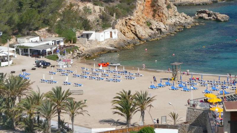 11_2449043_s 11_2449043_s