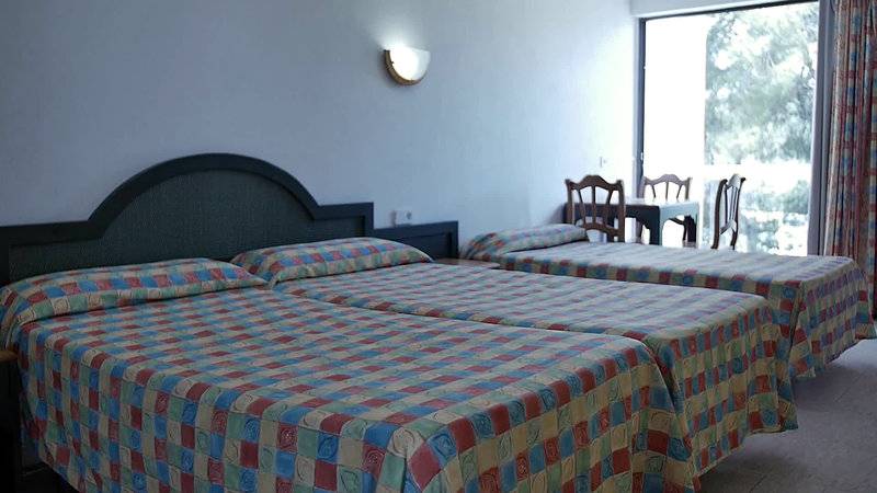 15_2449031_w 15_2449031_w