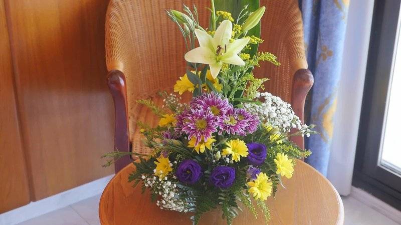 17_2451302_w 17_2451302_w