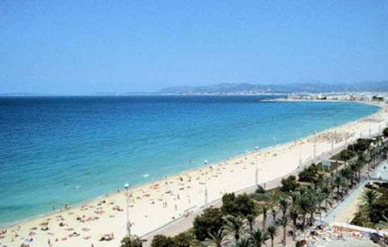 16_785560_s 16_785560_s