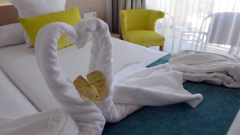 20_2451539_w 20_2451539_w