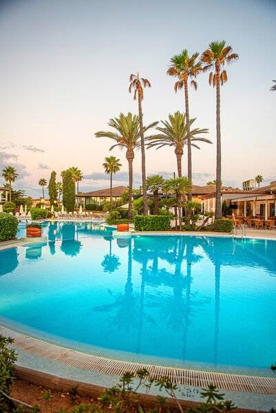 16_16970505_p 16_16970505_p