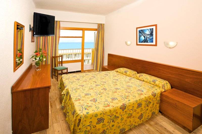 21_2138941_w 21_2138941_w