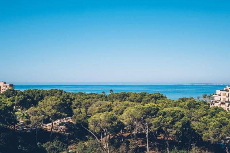 24_22622304_w 24_22622304_w