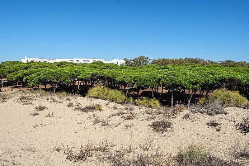 15_22403357_s 15_22403357_s