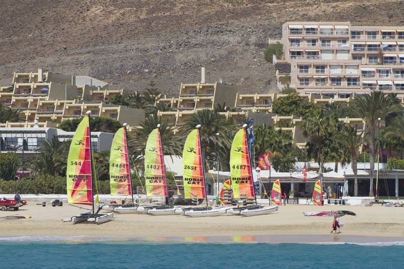 13_2449487_s 13_2449487_s