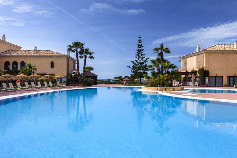 13_13481012_p 13_13481012_p