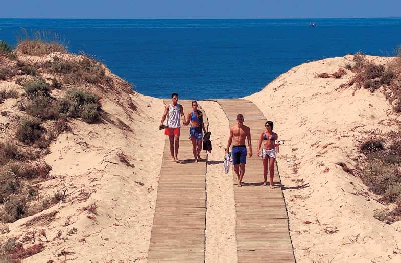 21_799093_s 21_799093_s