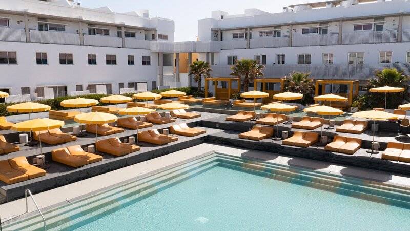 21_16507667_p 21_16507667_p