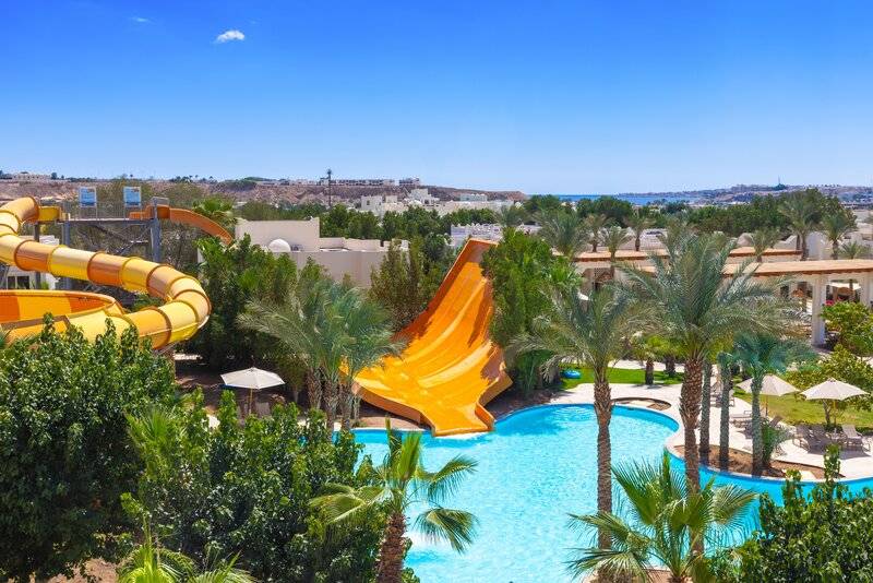 8_20871309_p 8_20871309_p