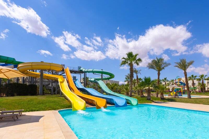 11_20871324_p 11_20871324_p