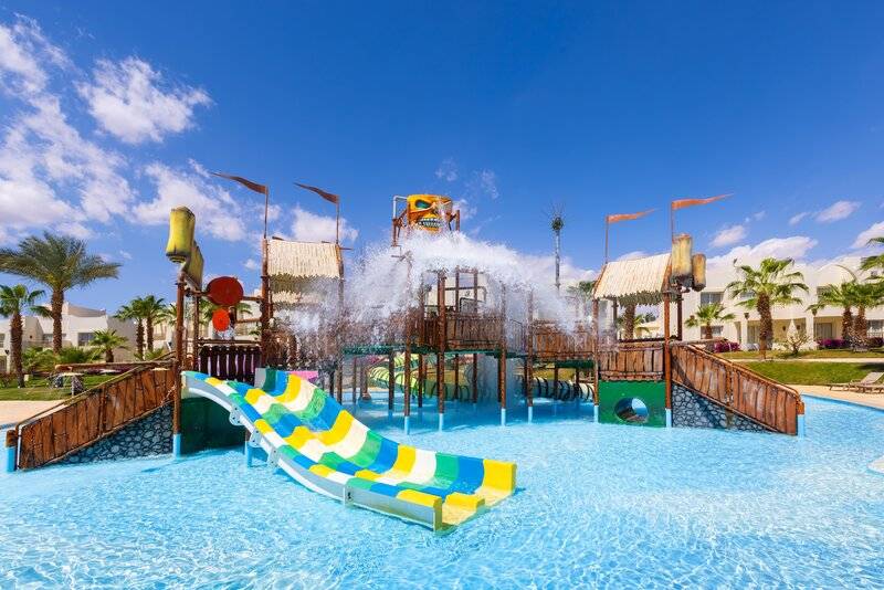 12_20871329_p 12_20871329_p