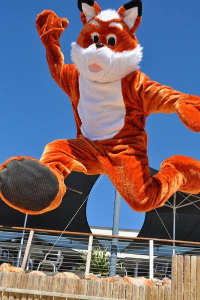 13_2836325_unknown 13_2836325_unknown