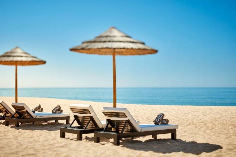 16_18261830_s 16_18261830_s