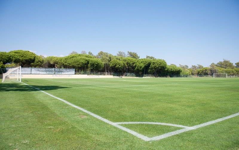 22_11629569_f 22_11629569_f