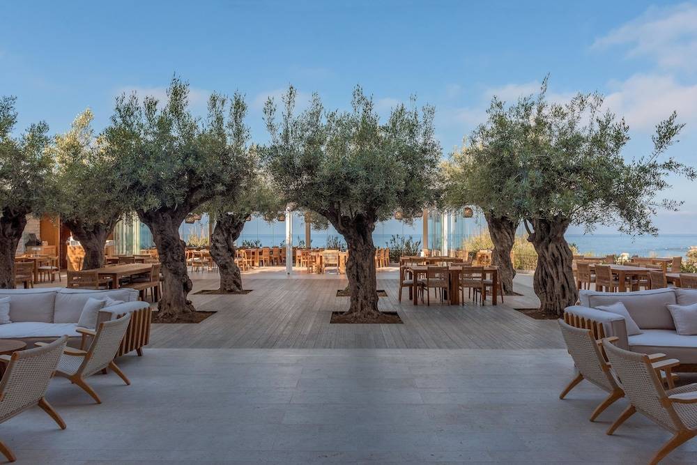 39_9337afa9_z