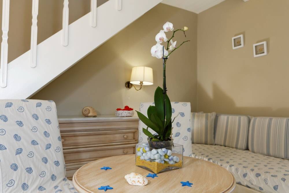 24_85aae3de_z 24_85aae3de_z