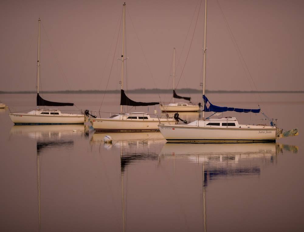 70_04162c81_z