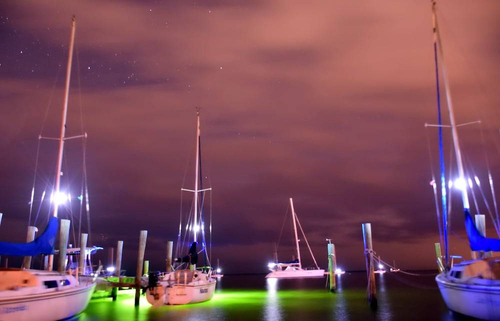 73_190fd306_z