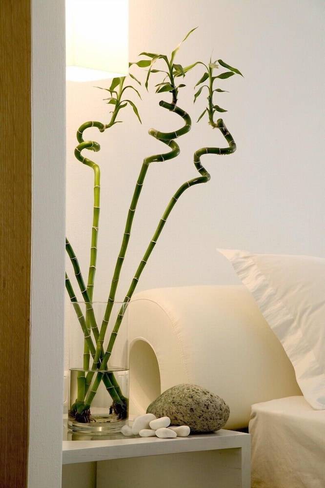 20_aa0d765e_z