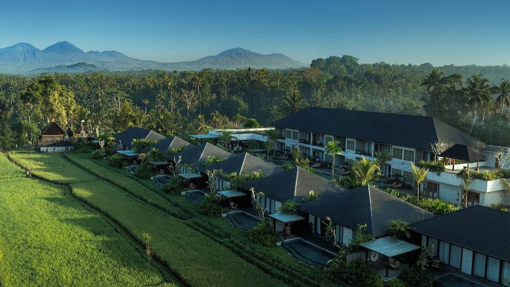 1_0bee8c31_z