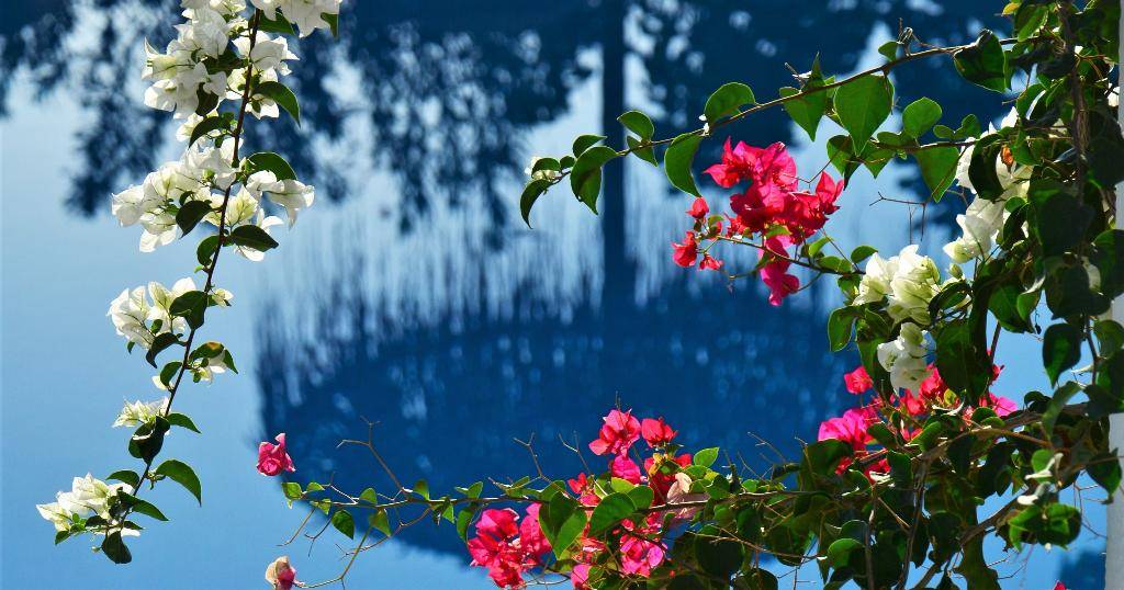 1_058253a_hb_p_008