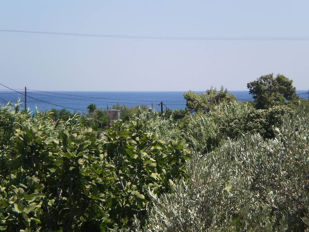 3_09e5f773_z