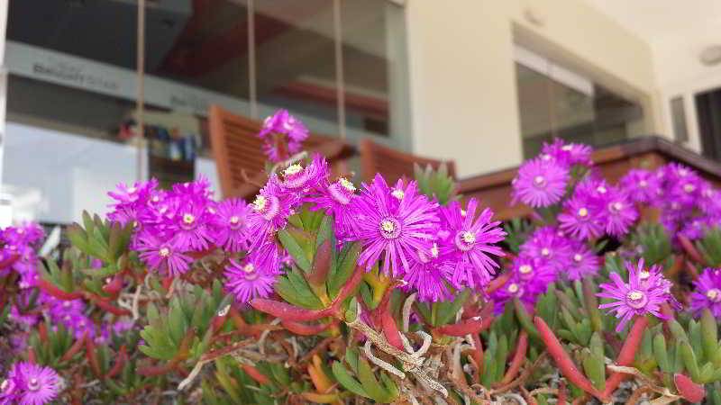 8_137876a_hb_ba_009 8_137876a_hb_ba_009