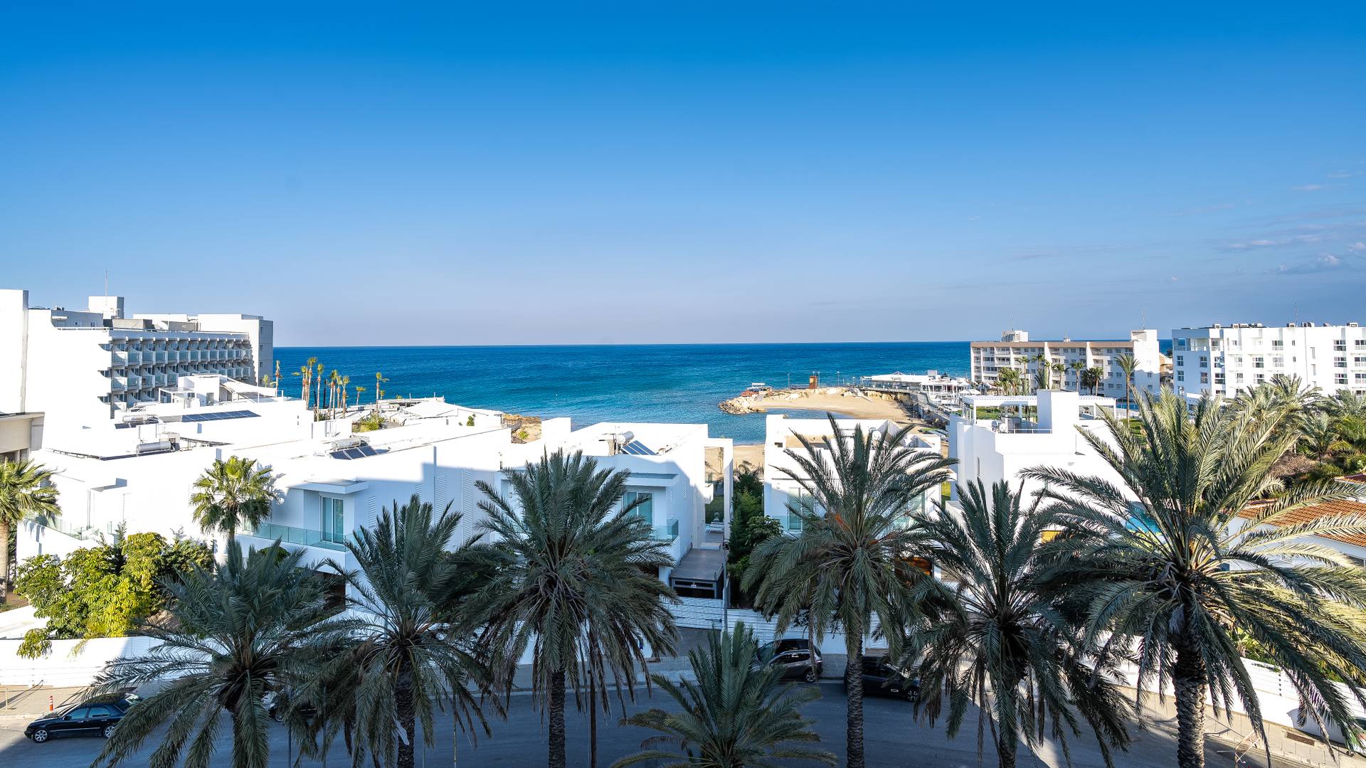 40_81472474 40_81472474