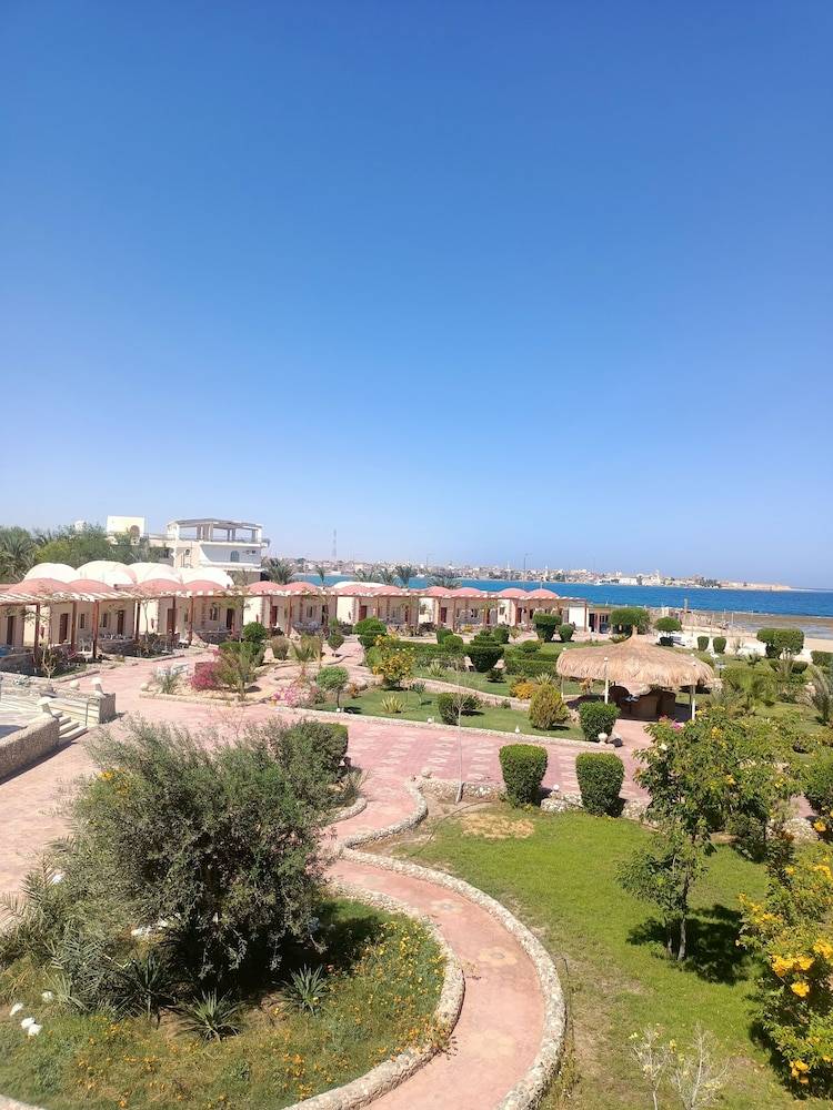 1_d0574732_z