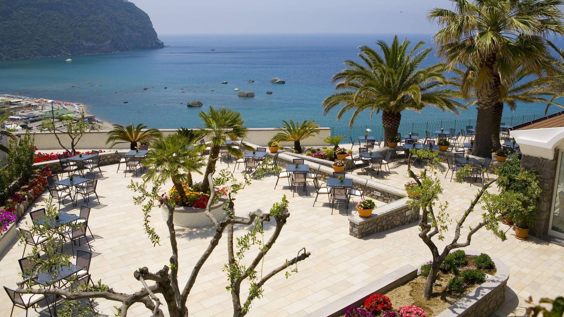 4_20-Nuove-Royal-Palm