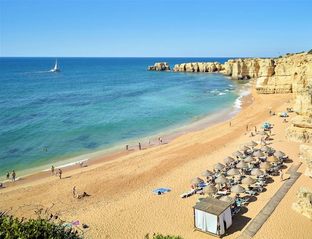 12_484709ed_z 12_484709ed_z
