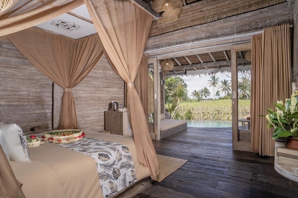 24_0429bd35_z