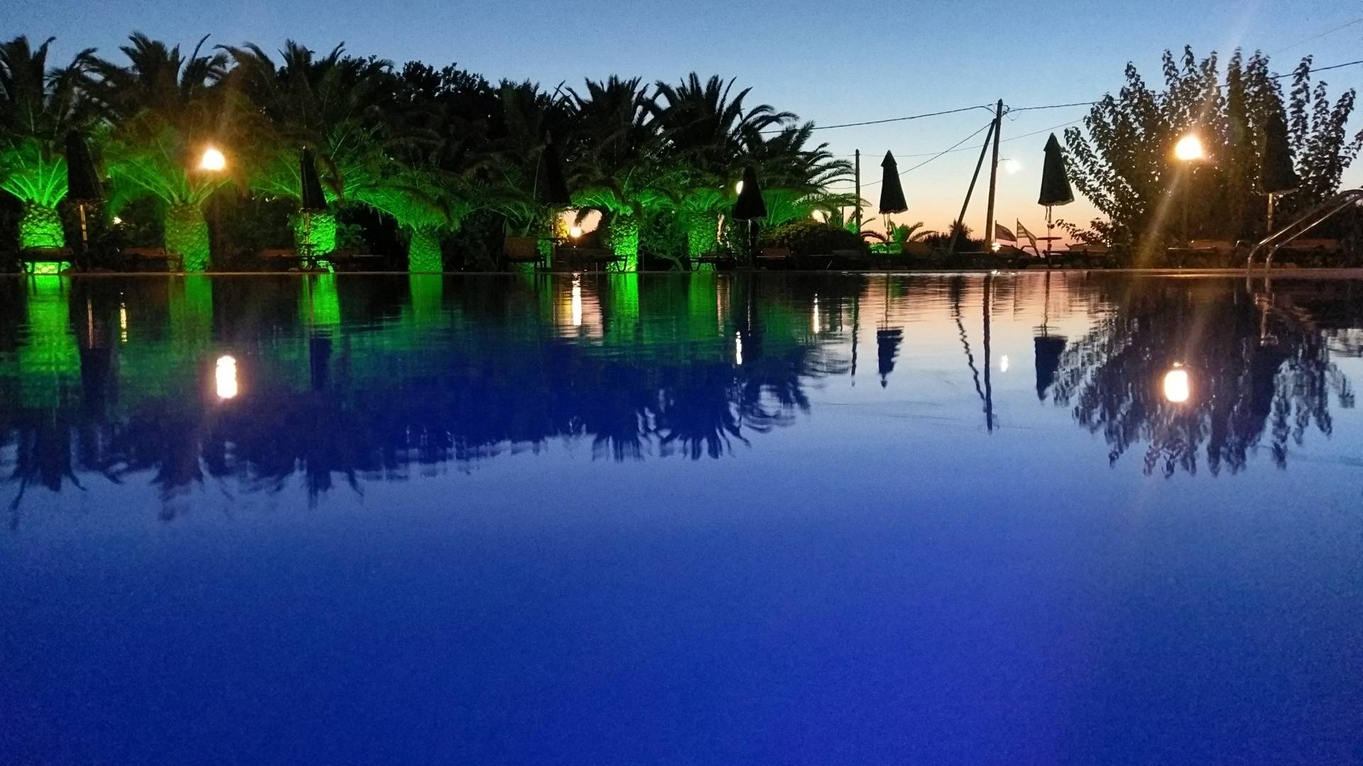 38_98942056