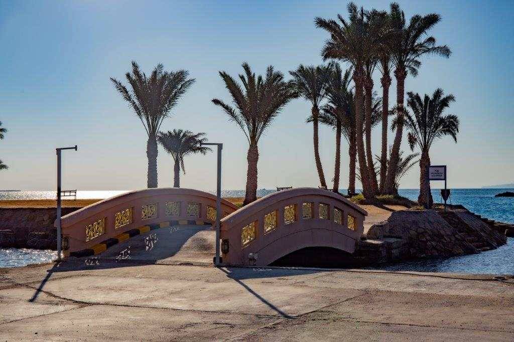 10 10