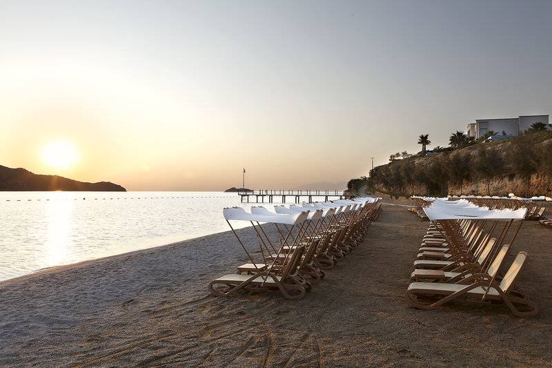 XANADU ISLAND TURGUTREIS