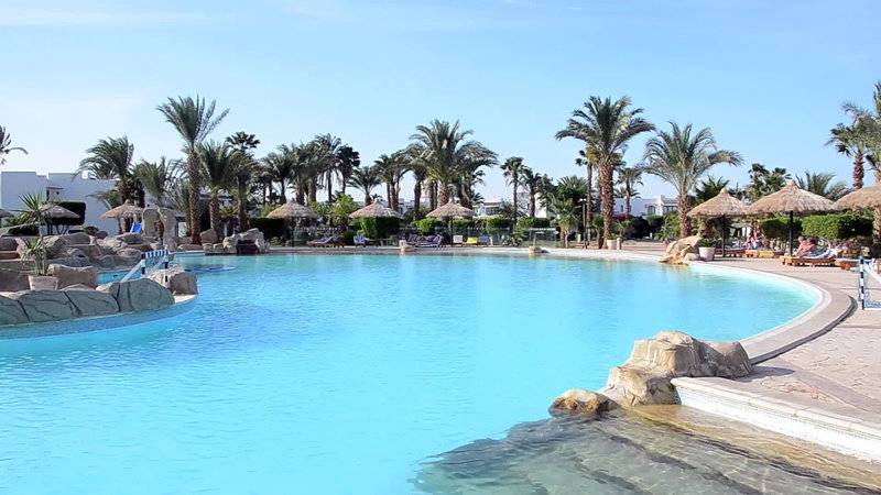 LOTUS BAY SAFAGA