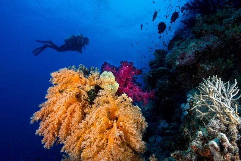 LABRANDA CLUB PARADISIO EL GOUNA