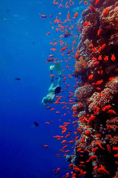 THE BREAKERS DIVING AND SURFING LODGE