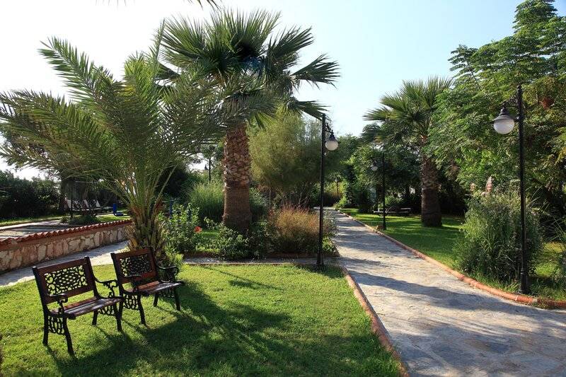 CLUB CACTUS PARADISE