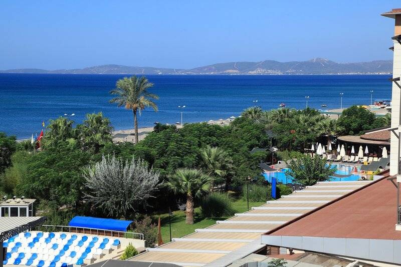 CLUB CACTUS PARADISE