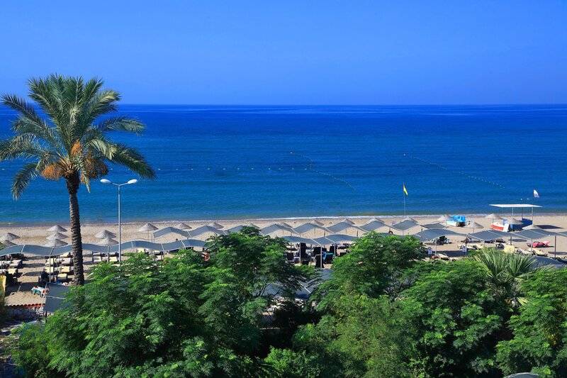 CLUB CACTUS PARADISE