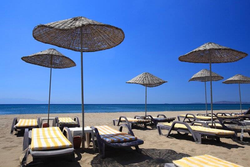 CLUB CACTUS PARADISE