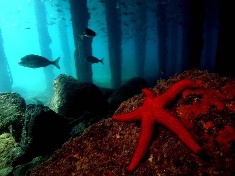 KORUMAR HOTEL DELUXE