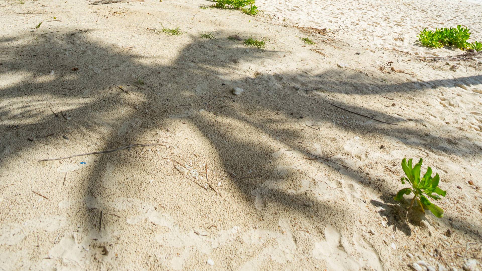 Willkommen bei Capital Holidays - Deine Traumziele, unsere Expertise.