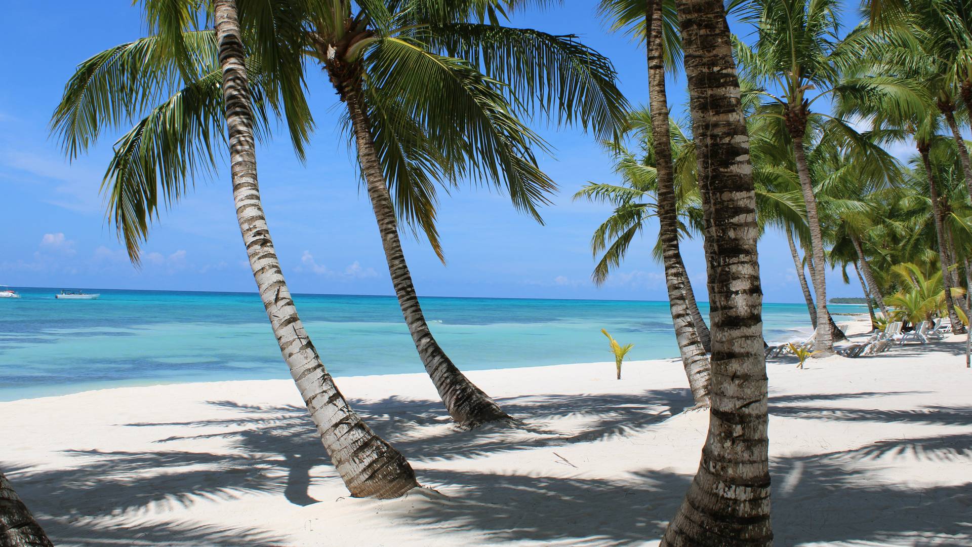 Urlaub in der Dominikanischen Republik - Capital Holidays