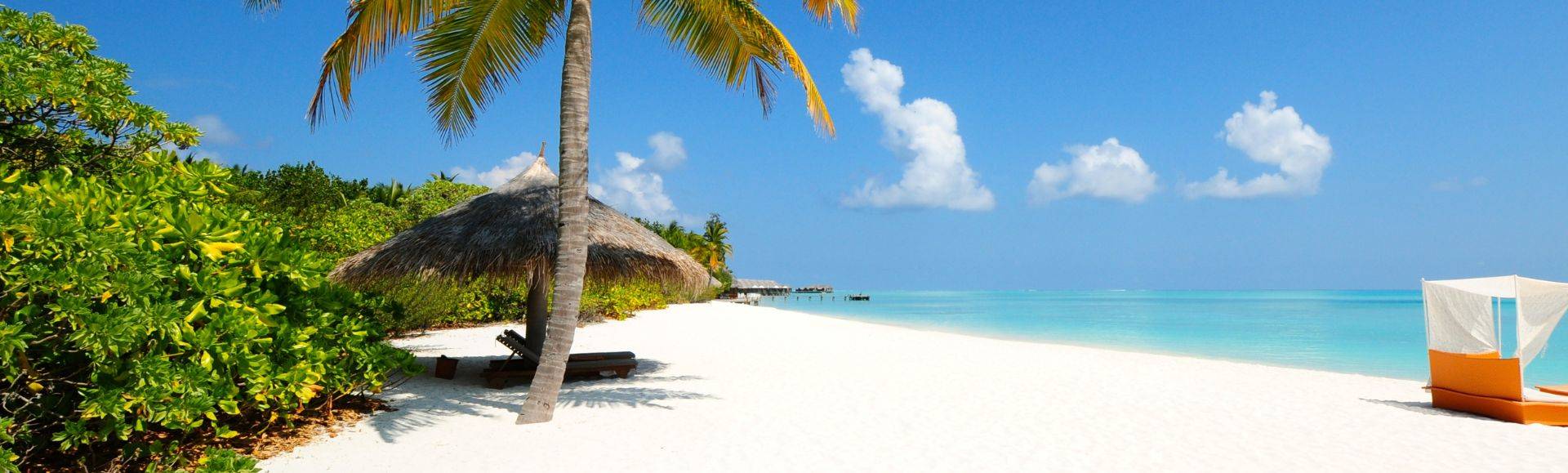 Tropical beach with palms and white sand - winter break