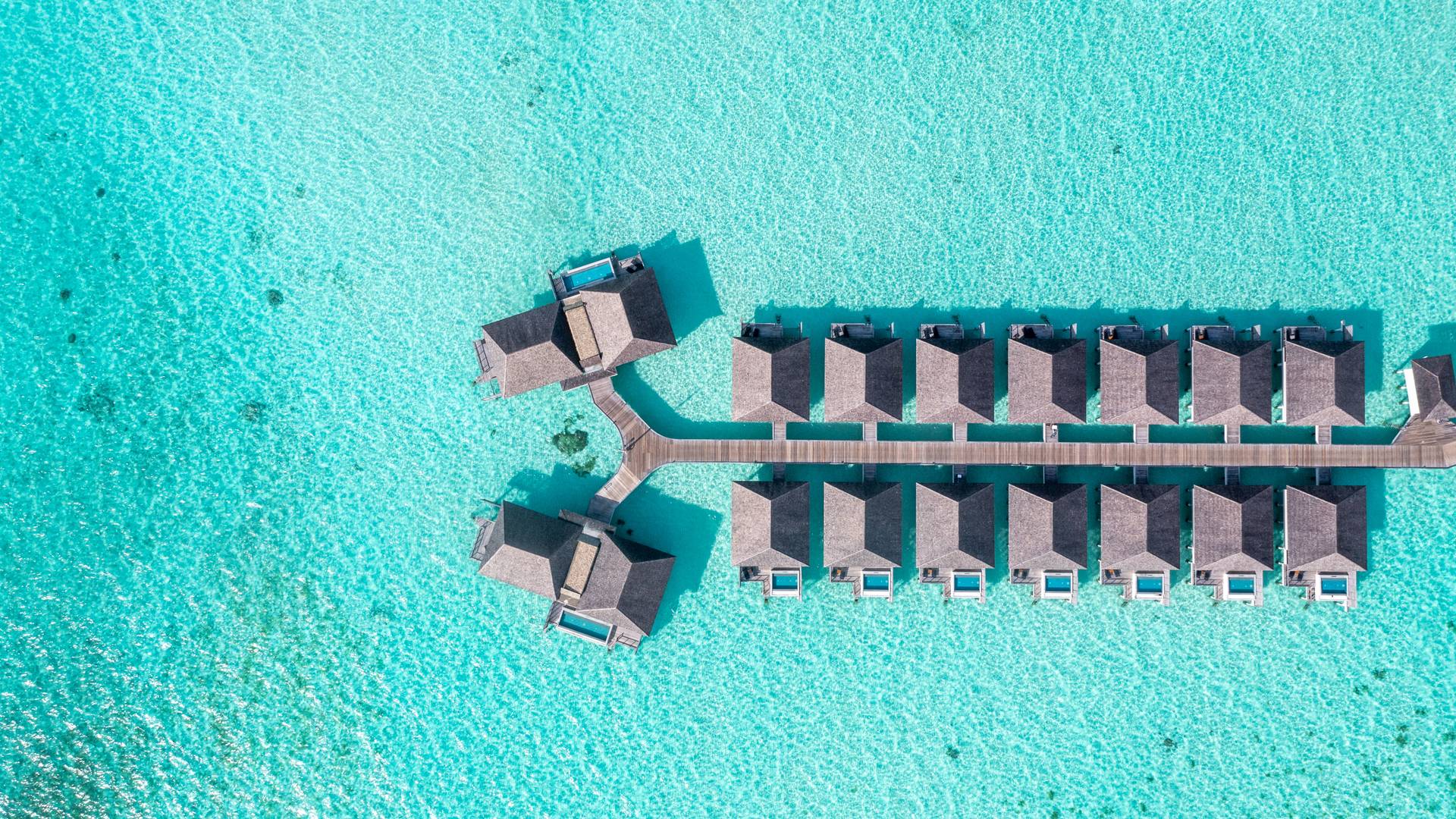 Hotel of the week - Etihad Holidays
