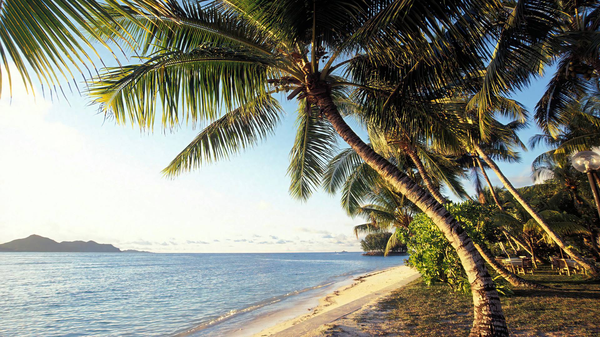 last minute etihad holidays